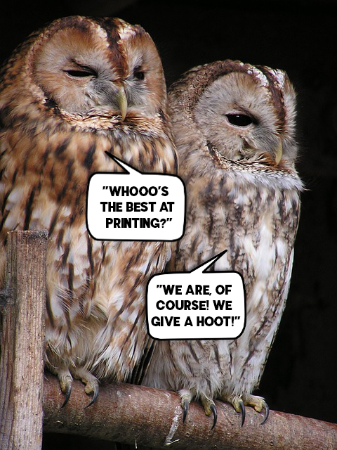 I Print Uptown Owl I Prin tUptown-Who's the best at printing? wea re of course! We give a Hoot!