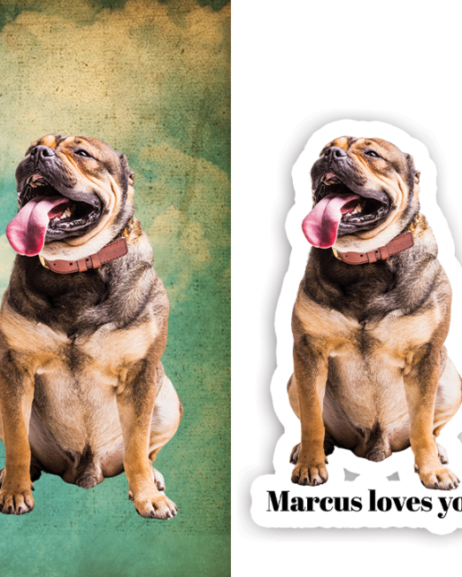 Dog sticker